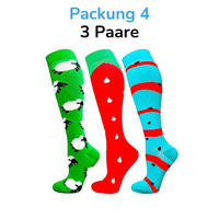 Packung 4
